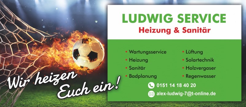 Logo-Ludwig Service