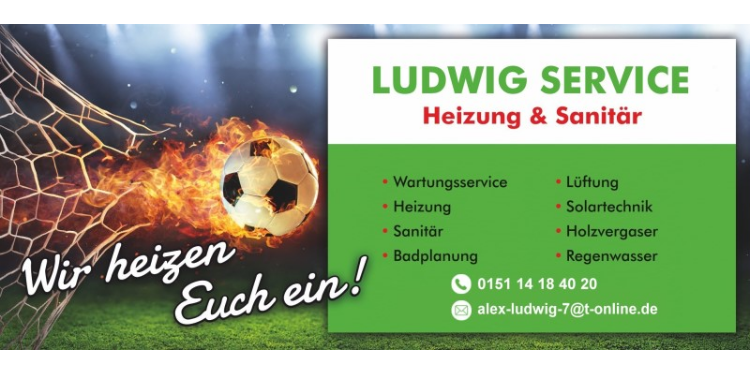 Logo-Ludwig Service